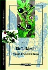 Die Tollkirsche, Königin der dunklen Wälder