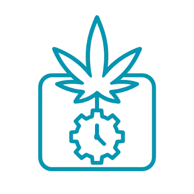 Autoflowering Icon 400