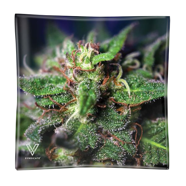 Mini Dreh-Tablett Blue Dream