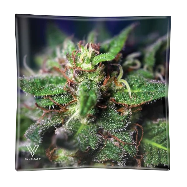 Glas Aschenbecher / Mini Dreh-Tablett Blue Dream