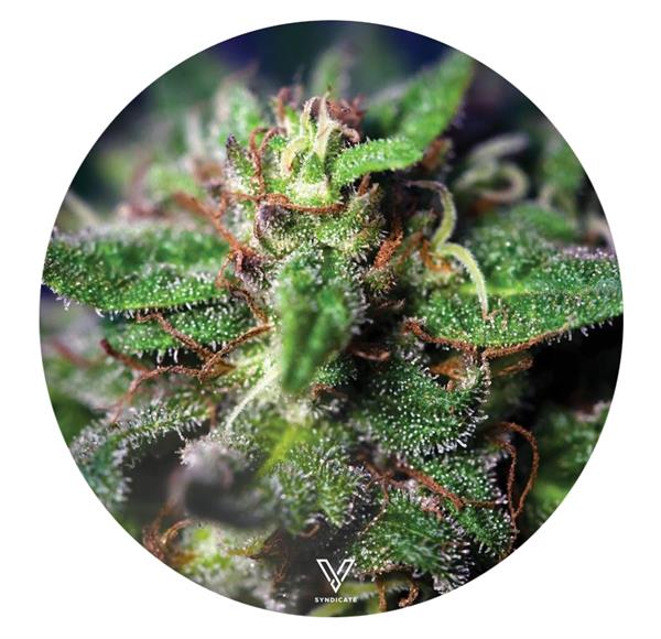 Silikonmatte -Small Round Blue Dream