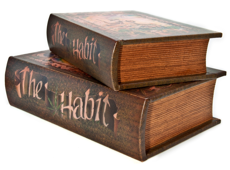 Kavatza Buch Box 'The Habit' groß